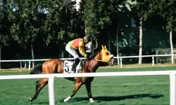 Bay Nalçakan kimin atı? 100. Gazi Koşusu’nu kazanan Bay Nalçakan’ın sahibi ve jokeyi kim? Bay Nalçakan Halis Karataş