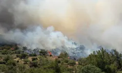 İzmir ve Bursa’da peş peşe yangın alarmı: Alevlere havadan ve karadan müdahale ediliyor!