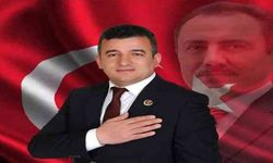 Hakan Satılmış kimdir, nereli, hangi partiden?