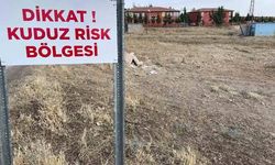 Van'da kuduz paniği! Karantina tedbirleri alındı