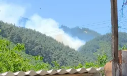 Manisa Soma’da orman yangını: Alevlere havadan ve karadan müdahale ediliyor