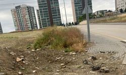 Yılan Korkusu, Ot Sorunu, Bakımsızlık... Susuz Mahallesi Çözüm Bekliyor