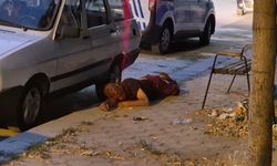 Yaralı halde bulundu, yardım eden ekiplere "Sen beni tanıyor musun?" diye tepki gösterdi