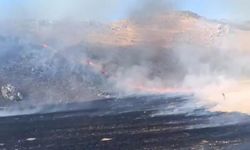 Ankara'da yangın alarmı! Nallıhan'daki felaketi itfaiyenin hızlı müdahalesi önledi
