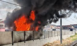Ankara'da boş arazide çıkan yangın tren istasyonuna sıçradı!