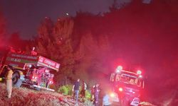 Adana'da korkutan orman yangını! Saatler süren mücadelenin ardından kontrol altına alındı