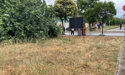 Kocaeli’de yeğen dehşeti: Tartıştığı amcasını palayla öldürdü