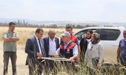 Akyurt'ta arpa hasadı başladı!