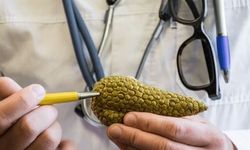 Karın ağrısı, halsizlik ve suya doyamama... Uzman doktordan ailelere hayati uyarılar