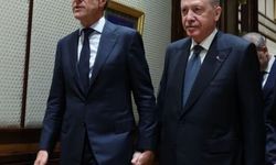 Ankara'da zirveye damga vuran kare! Erdoğan ve Rutte el ele yürüdü