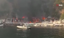 İstanbul'daki yangın yürekleri ağza getirdi! Viranbağ plajı alevlere teslim oldu