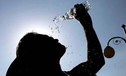 Almanya'da aşırı sıcaklarda can kaybı 10 bine dayandı!