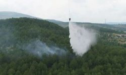 Kütahya'da orman yangını! Karadan ve havadan müdahale sürüyor