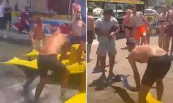 Kılıç balığını kuyruğundan çekip karaya çıkardı: Yaptığı cezasız kalmadı!