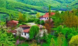 Tokat Musullu köyü Alevi mi? Eren Kaşıkçı alevi mi? Tokat Musullu köyü eski adı