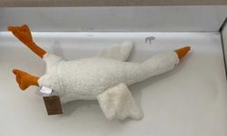 Laboratuvar testlerinden geçemedi: Peluş kaz oyuncağı için toplatma kararı!