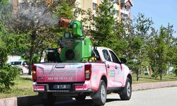 Ankara’da sivrisinek, kene ve haşereye karşı ilaçlama mesaisi sürüyor