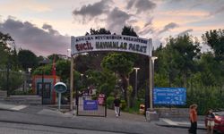 Keçiören Evcil Hayvanlar Parkı'nda ilginç hayvan manzaraları