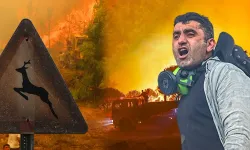Aydın'da orman yangını yeniden büyüdü: Vatandaşlar alevlerle göğüs göğüse mücadele ediyor