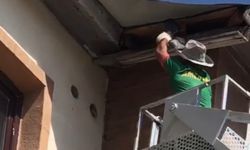 Yüksekova'da yürek ısıtan kurtarma: Çatıda mahsur kalan güvercin için seferber oldular