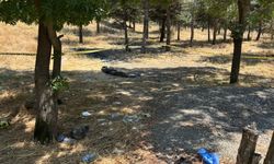 Ankara'daki korkunç cinayette flaş gelişme: Şüpheler kardeşe çevrildi!