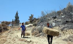 Muğla Büyükşehir Belediyesi, Seydikemer'de yangın yaralarını sarıyor