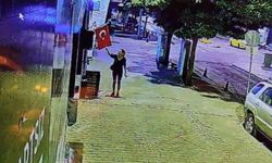 Muğla’da Türk bayrağını yakan kadın yakalandı!
