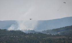 Muğla’daki orman yangınında yüreklere su serpen gelişme!