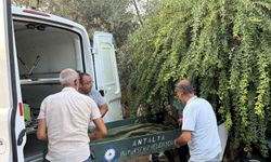 Antalya'da 58 yaşındaki adam evinin merdiveninde ölü bulundu