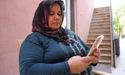 Denizli Sarayköy’de sokak hayvanları ölü bulundu: Zehirli yem iddiası