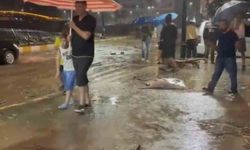Giresun'da dereler taştı, iş yerlerini su bastı