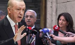 DEM Parti heyetinden Erdoğan görüşmesi öncesi kritik mesajlar: Talepler masada
