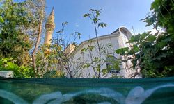 Çankaya Merkez Camii’nde tadilat bitmiyor: Bahçe ve geçici alanlar tepki çekiyor