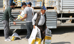 Ankara’da 443 üreticiye kanola tohumu desteği: 24 bin dekar alan ekildi!