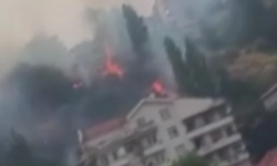 Ankara’da ağaçlık alan alevlere teslim oldu: Yangın kontrol altına alındı