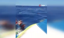 Filo Jet faciasında 9 kişi tutuklandı! Herkesin aklında aynı soru: "Feribot nasıl alabora oldu?"