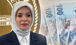 Orman yangınlarından etkilenen vatandaşlar için bakanlık harekete geçti! 4 İle 25 milyon liralık destek!