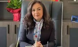 İdil Belediye Başkanı Türkan Kayır kimdir, hangi partiden?