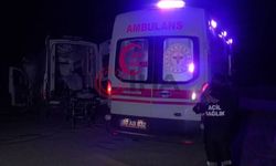 Zonguldak’ta domuz avında facia: Kuzenini yaban domuzu sanıp vurdu