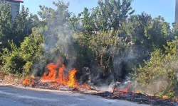 Avcılar’da ağaçlık alanda yangın paniği