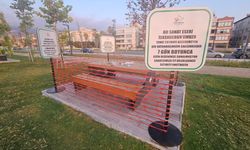 Sahildeki kirliliği sergiye dönüştürdüler: Görenler şaşkınlığını gizleyemedi