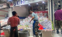 Balık sezonu başladı, Ulus Hali hareketlendi: “En taze balık Ankara’da yenir”