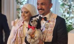Trabzon’daki düğünde sıra dışı takı: Damada altın değil köpek taktı
