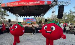Ankara'da Ayaş Domates Festivali coşkusu başladı! Binlerce kişi ilçede buluştu