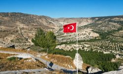 Direğe dolanan Türk bayrağını görünce kayıtsız kalamadı