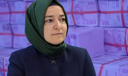 Fatma Betül Sayan Kaya’nın istifasının ardından dikkat çeken gelişme: Özgeçmişi siteden kaldırıldı