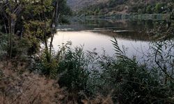 Eymir Gölü, Başkentlilerin doğayla buluşma noktası