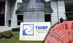 TMSF Sürat Sigorta ve Kaynak Kağıt'ı satışa çıkardı: 455 bin liralık ihale!