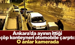 Ankara’da ayının ittiği çöp konteyneri otomobile çarptı: O anlar kamerada