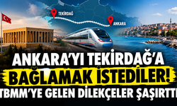 Ankara'yı Tekirdağ'a bağlamak istediler! TBMM'ye gelen dilekçeler şaşırttı